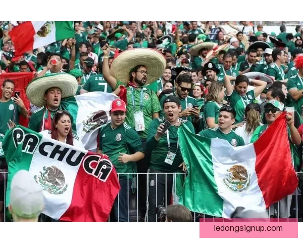 美加墨世界杯赛场精彩瞬观全球足球盛事盛况与激情碰撞